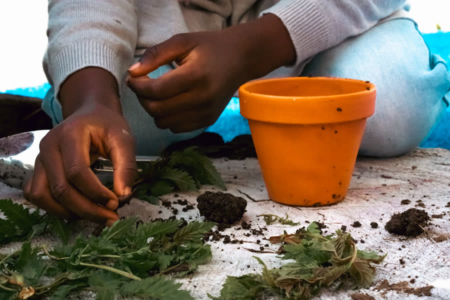 Des mains remplissent un pot de terre